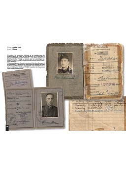 PANZERKOMMANDANT Kurt Sametreiter LEIBSTANDARTE