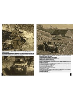 PANZERDIVISION FRUNDSBERG - UKRAINE - NORMANDIE 1944